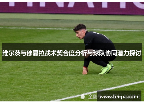 维尔茨与穆夏拉战术契合度分析与球队协同潜力探讨