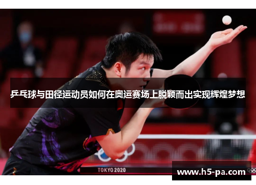 乒乓球与田径运动员如何在奥运赛场上脱颖而出实现辉煌梦想