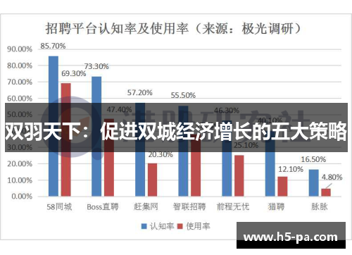 双羽天下:促进双城经济增长的五大策略 双羽天下:促进双城经济增长的五大策略