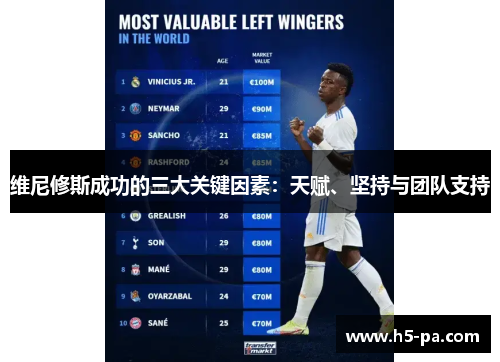 维尼修斯成功的三大关键因素：天赋、坚持与团队支持