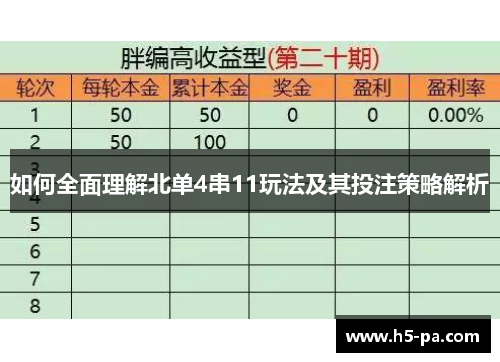 如何全面理解北单4串11玩法及其投注策略解析