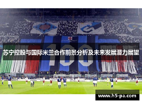 苏宁控股与国际米兰合作前景分析及未来发展潜力展望