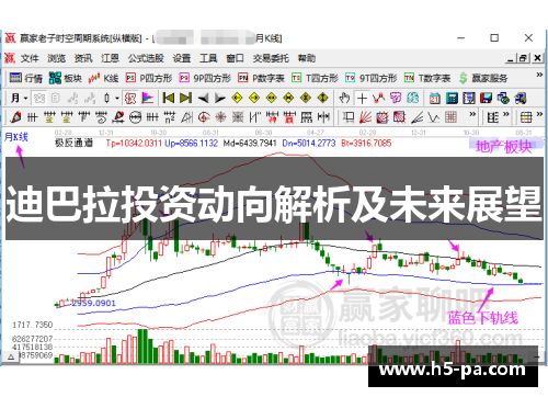 迪巴拉投资动向解析及未来展望