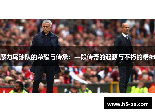 魔力鸟球队的荣耀与传承：一段传奇的起源与不朽的精神